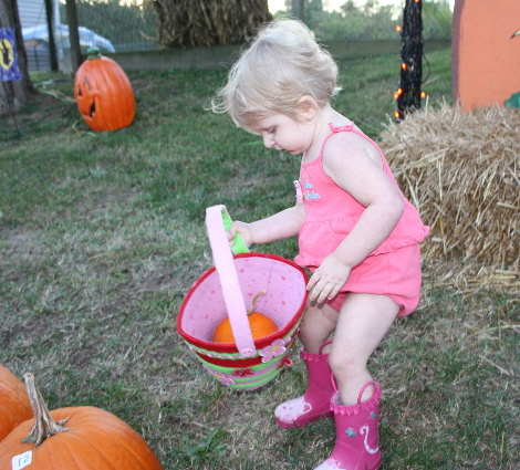 Pumpkin Patch 034