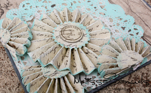 Rosette card (1 of 1)-2