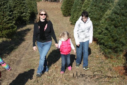 Christmas Tree 2012 (1 of 1)-24
